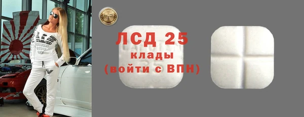 шишки Саяногорск