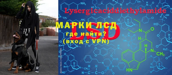 стафф Россошь