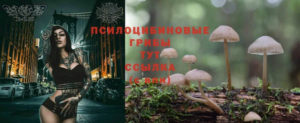 альфа пвп Богородицк