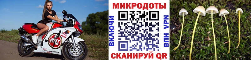 Псилоцибиновые грибы MAGIC MUSHROOMS Мезень